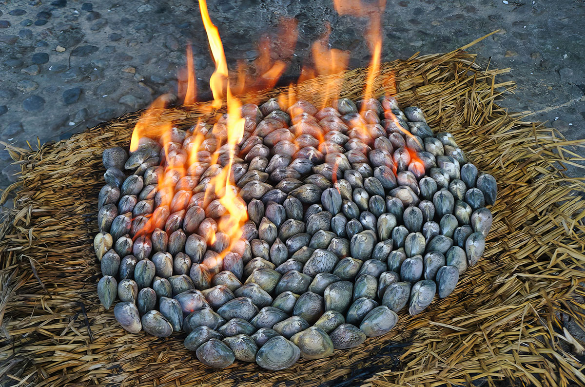 North Korea Focus: North Korea Cuisine & Food. Clam BBQ.